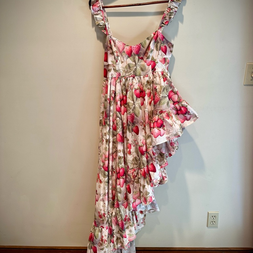 NWT NEW Selkie Legs For Days Dress Strawberry Cream Medium Hi Lo Asymmetrical